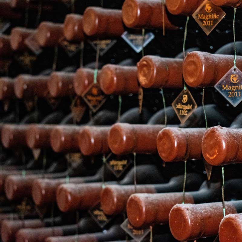 Wir entlarven 8 Mythen über die Weinlagerung
